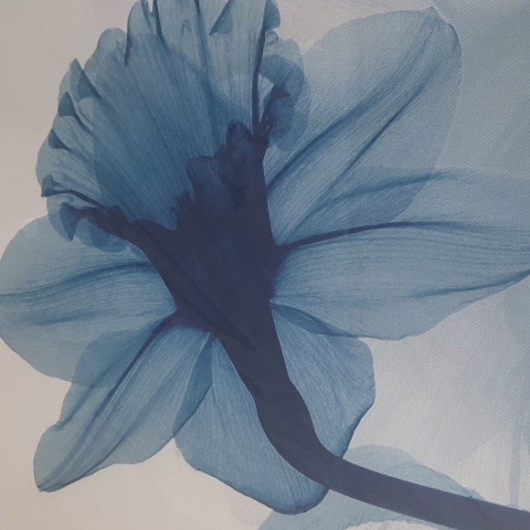 Daffodil on canvas artwork 12 x 12 - Picture 4 of 4